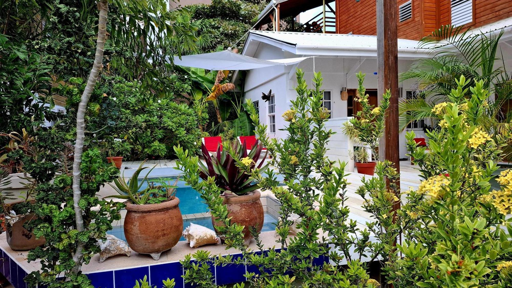 Amanda'S Place Casa Amancer - Sea View, Pool And Tropical Garden Caye Caulker Exterior foto